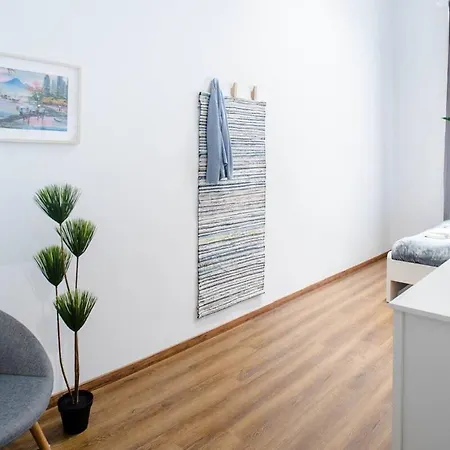 5 Bedrooms With Ac In Center Budapest